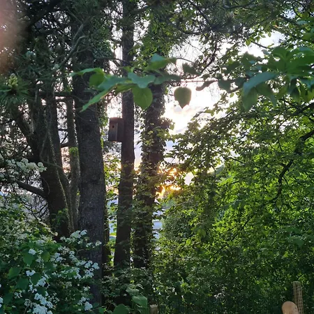 Kinder- Und Hundeparadies Mit Grossem Eingezaeunten Garten 아파트 Steisslingen