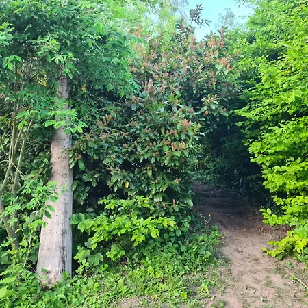 아파트 Kinder- Und Hundeparadies Mit Grossem Eingezaeunten Garten *